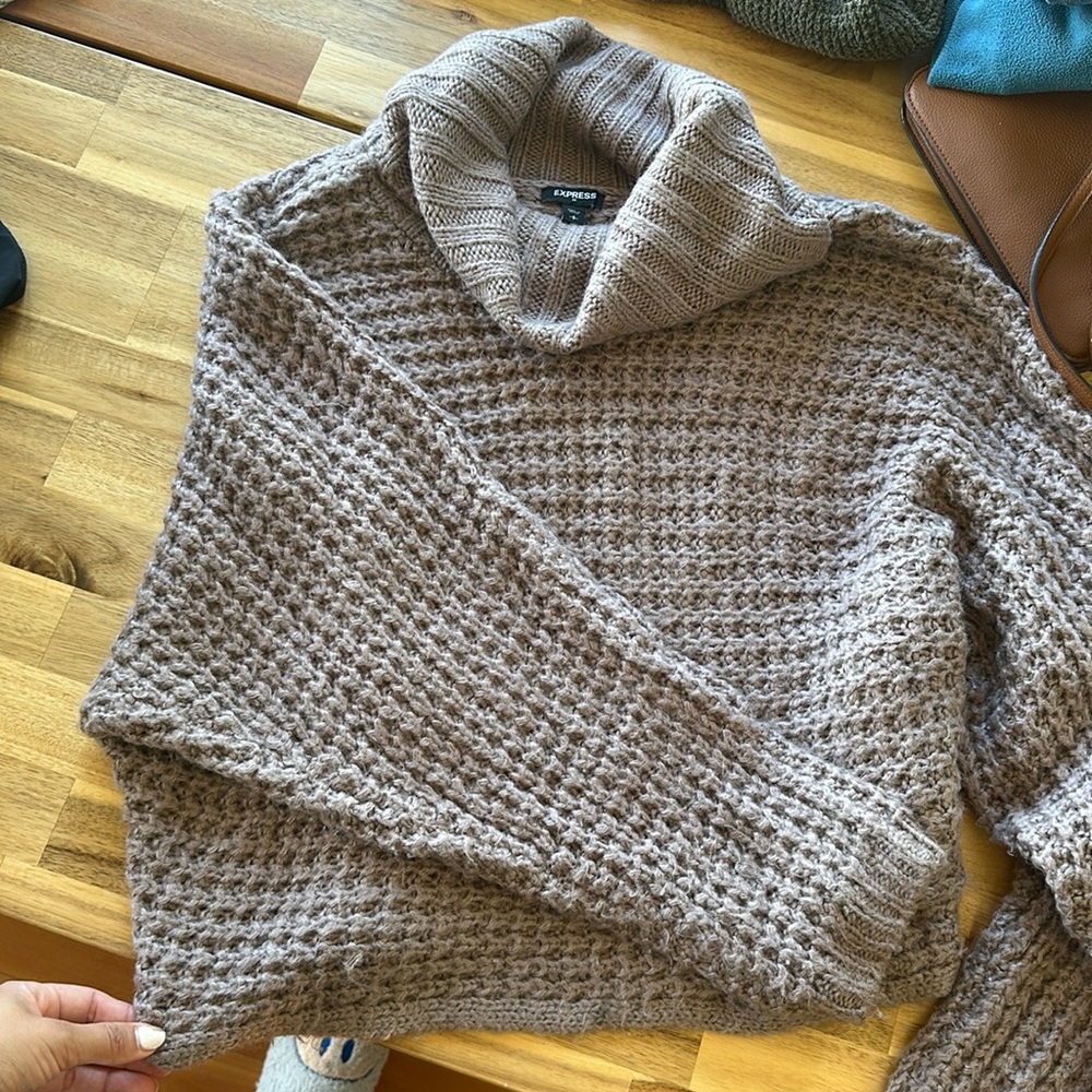 Express turtle neck sweater